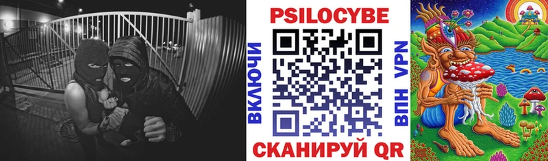 Галлюциногенные грибы мицелий  Нестеровская 